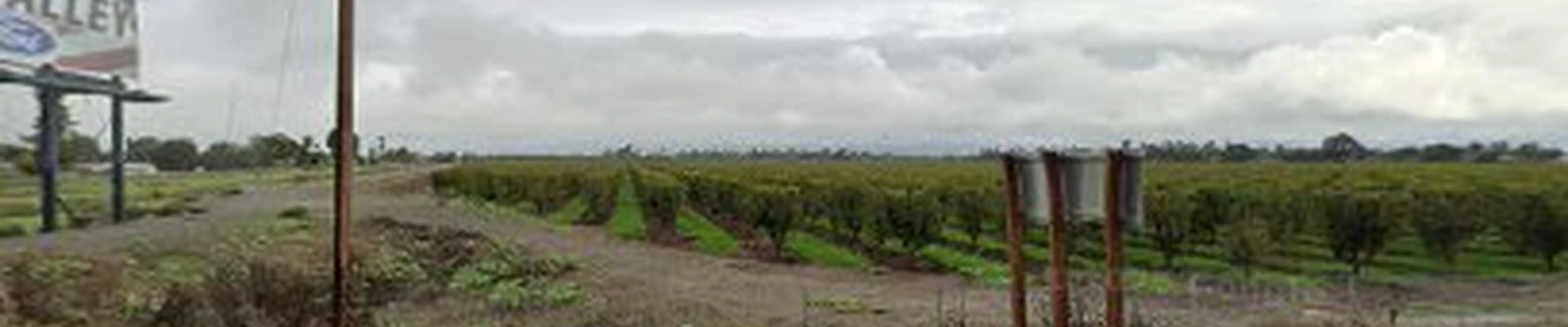 Green Valley Landscape