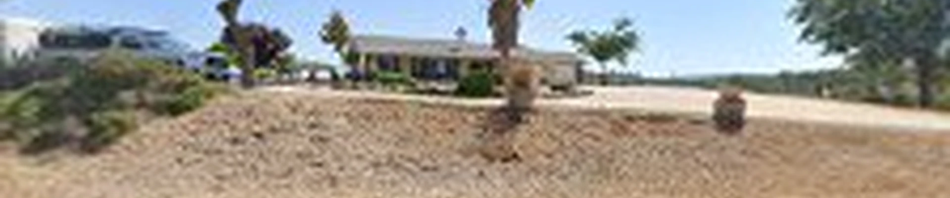 BloomiCa Landscaping