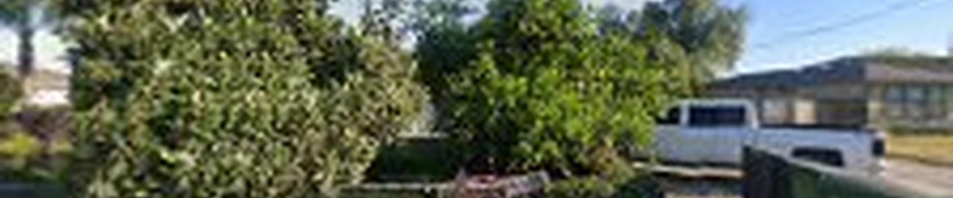 Lopez Complete Yard Care