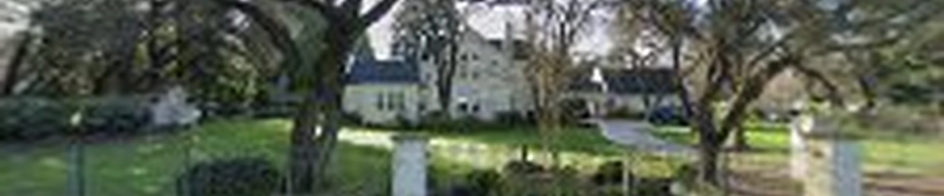 Cannistraci Landscaping