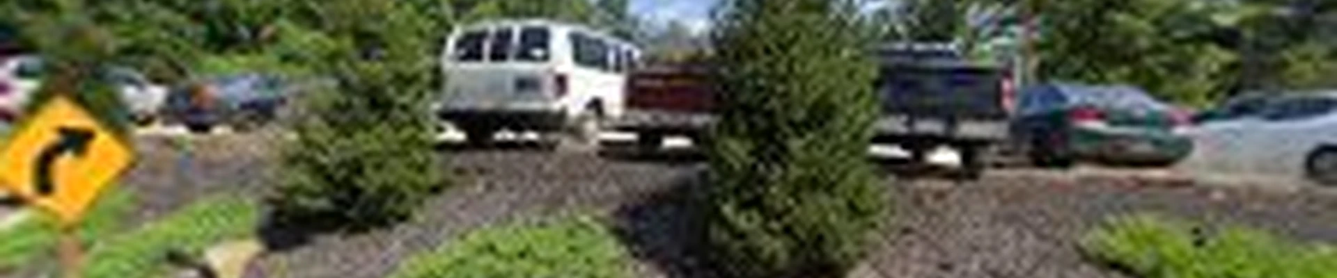 Bell Landscaping and Property Management, LLC