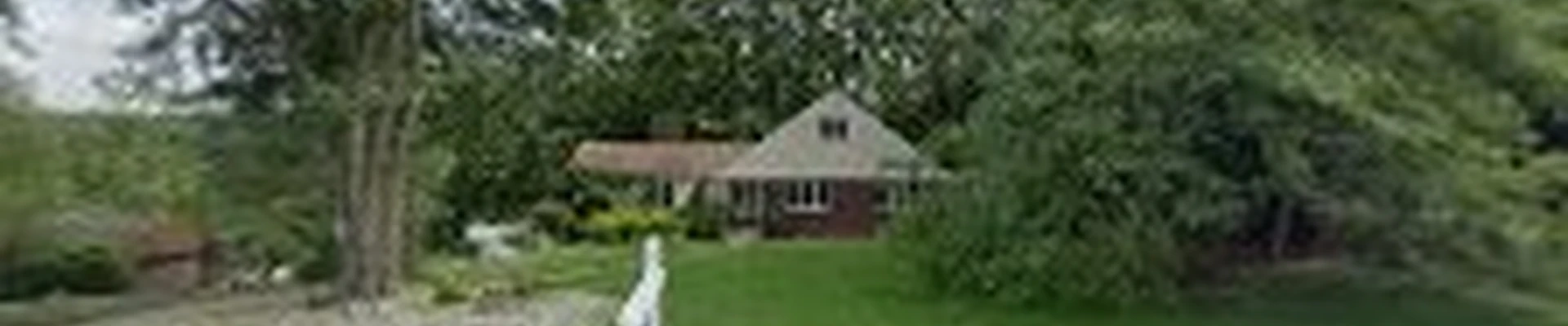 D'Arrigo Landscaping