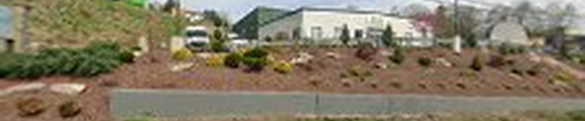 Dream Greener Lawn & Landscape