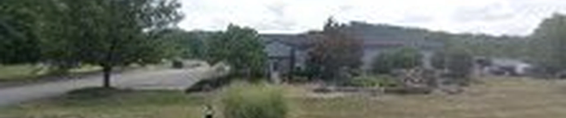 Blue Fox Landscape Design