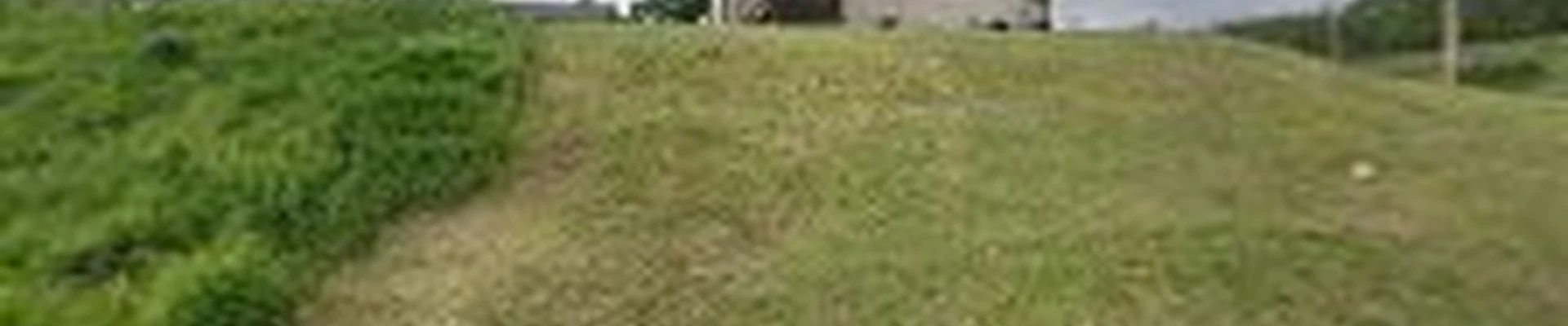 Carl’s Tree Service-Landscaping