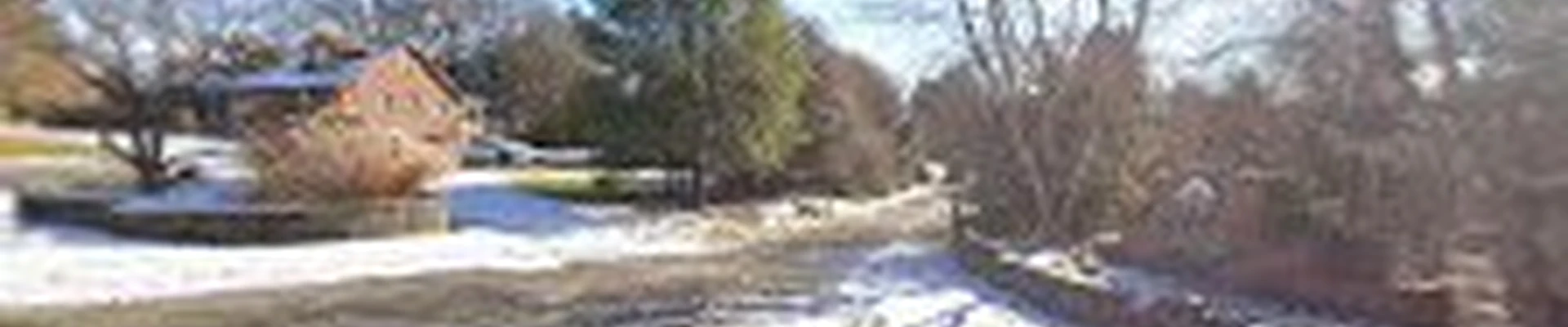 Wolfe Landscaping Nursery