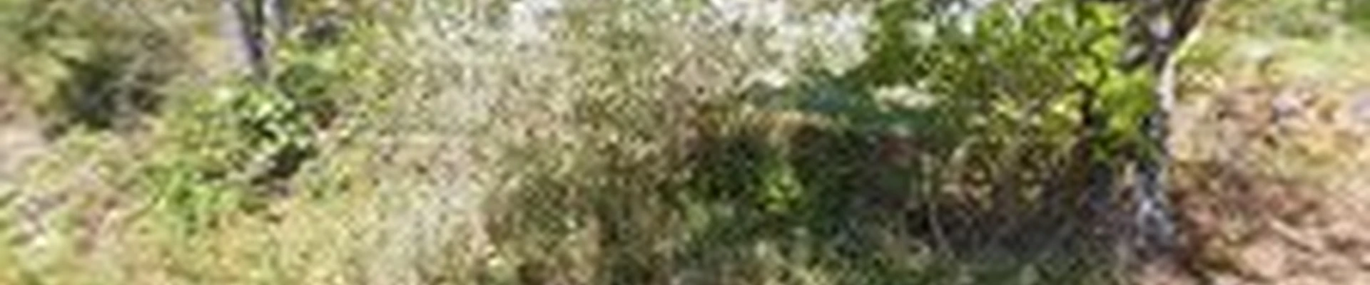 Leisure Time Landscaping & Snow Removal