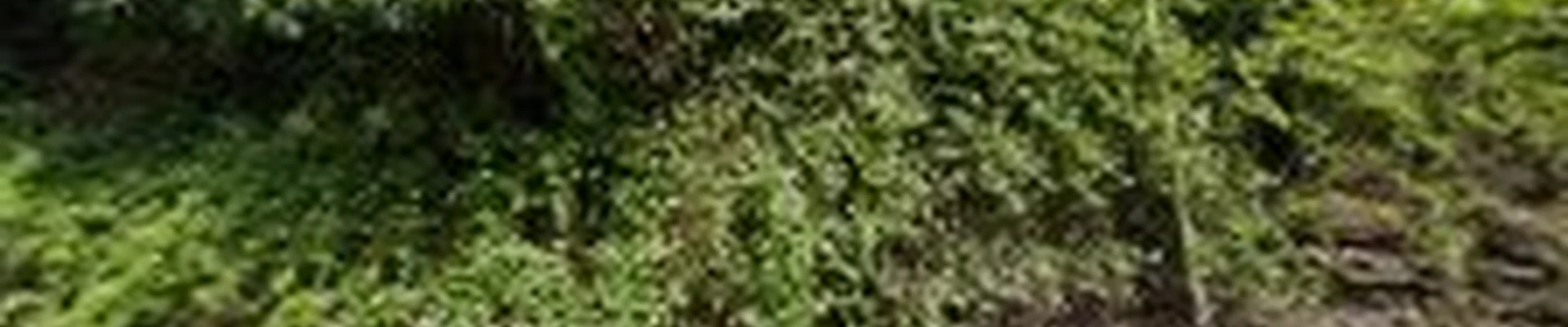 AGS Landscaping