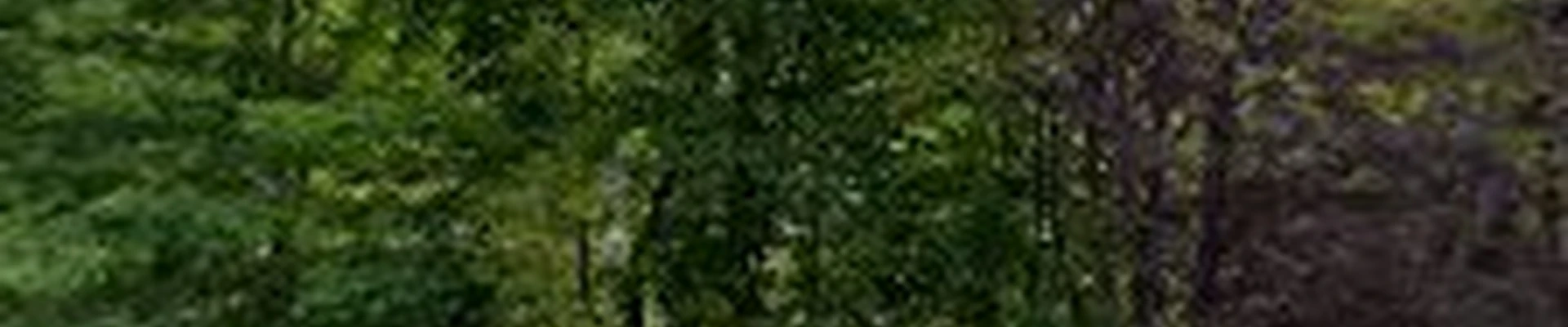 Resnik Landscaping Services