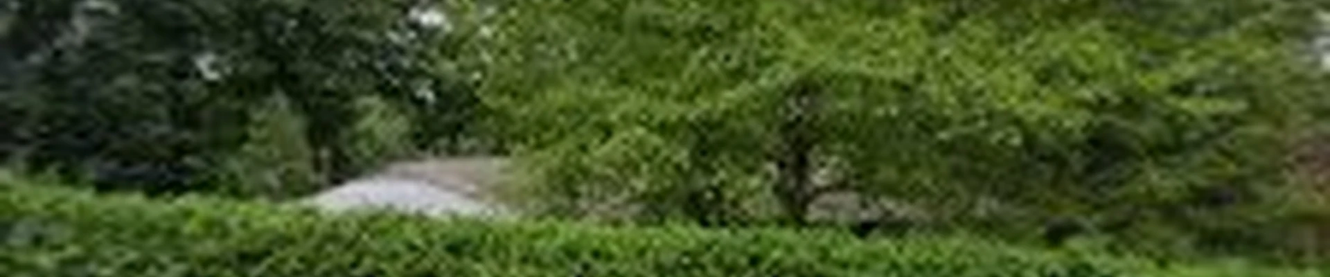 J&S Enterprises Tree Removal & Landscaping