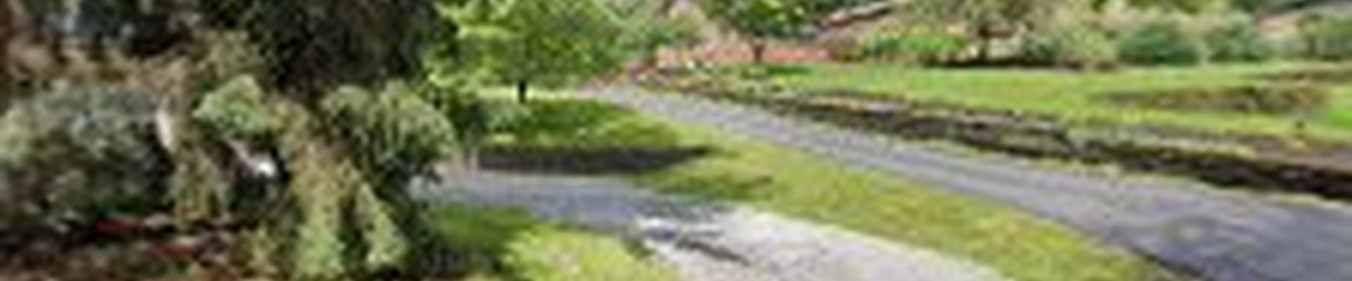 Sage Lawn and Landscaping