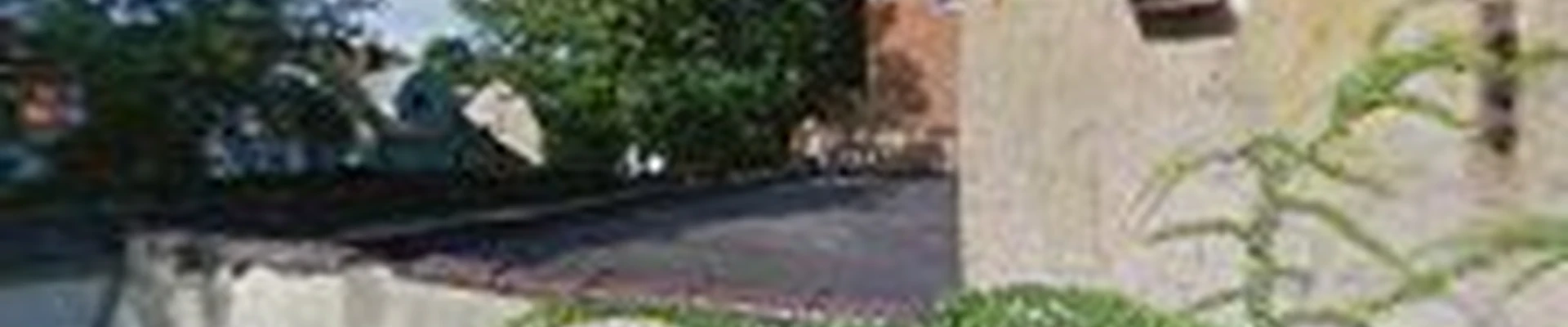 Professional Lawn Care, Corp.
