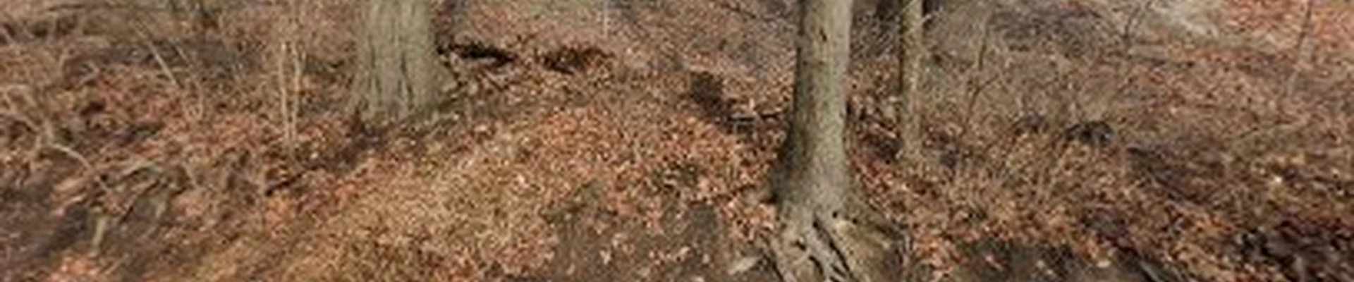Verrico Landscape Contractors