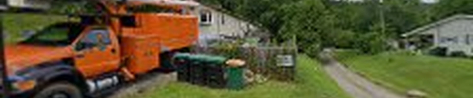 Gene's Tree and Landscaping LLC