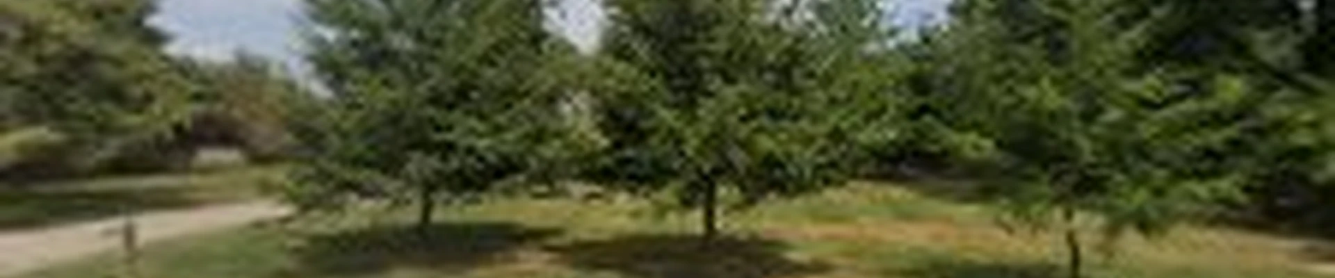 Douds Brothers Landscape Construction, Inc.