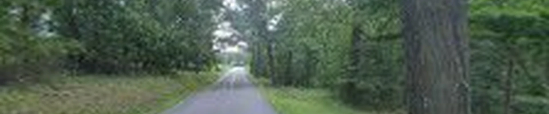 Ford Lawn Care gibsonia pa.