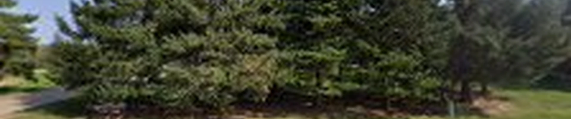 Croix Valley Curbing and Landscaping