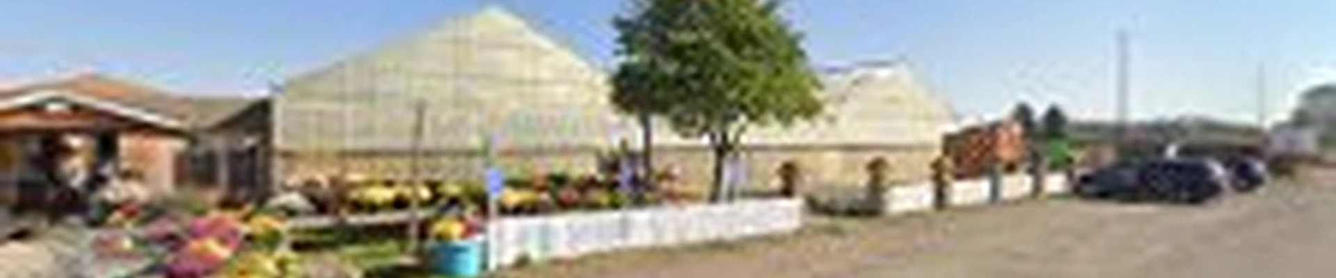 Zywiec's Landscape and Garden Center