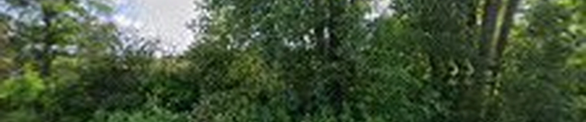 Boulder Hills Landscaping LLC.