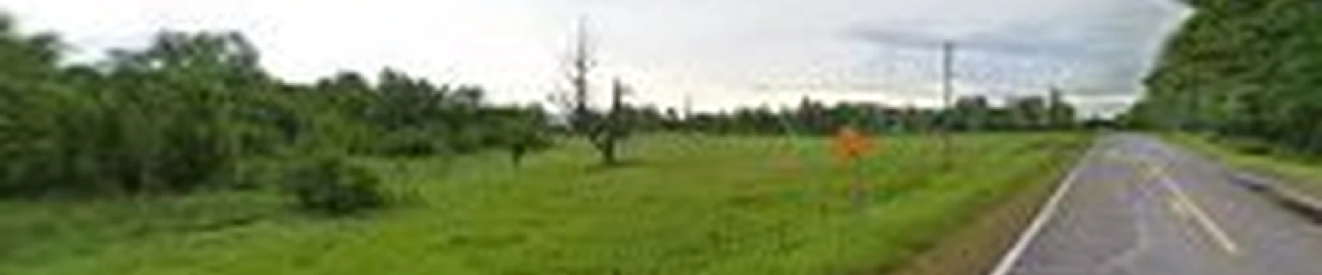 Black Brook Lawn & Landscaping