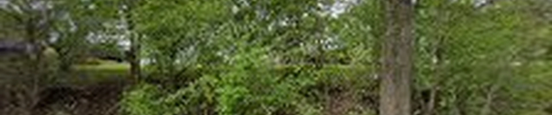 Horticulture Services