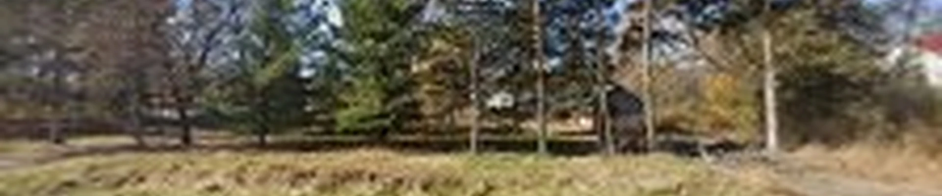 NWI Tree Service & Landscaping