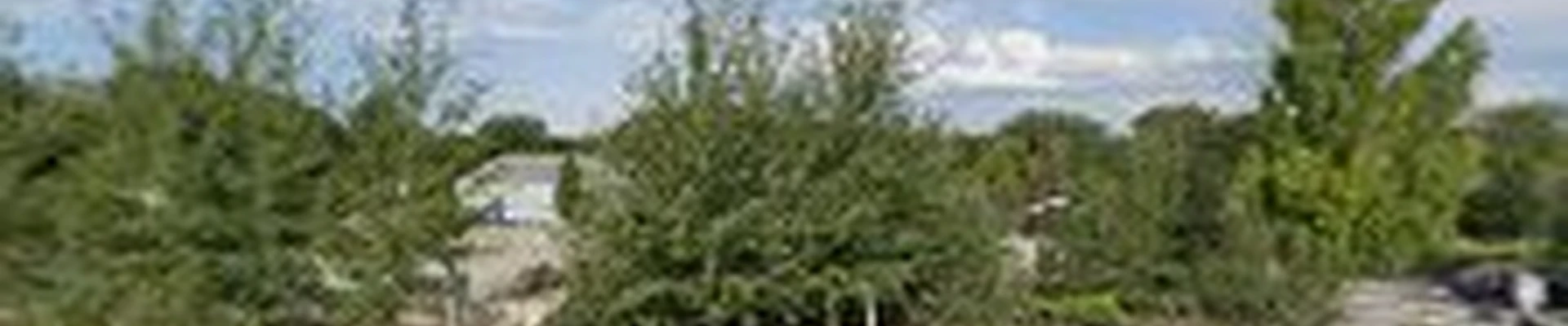 Landmark Nursery and Landscaping