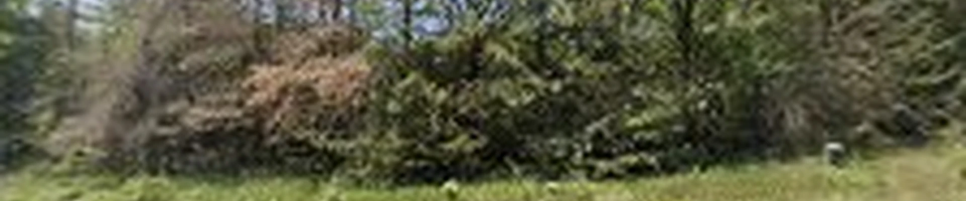 Creative Landscaping inc.