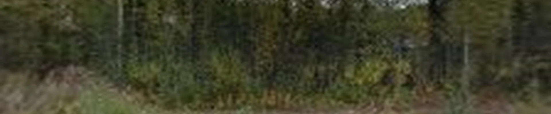 Timberline Landscape Creations LLC