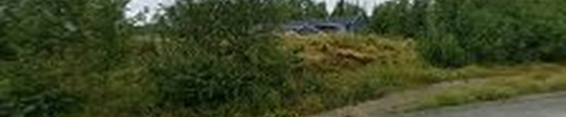 AP Landscape LLC
