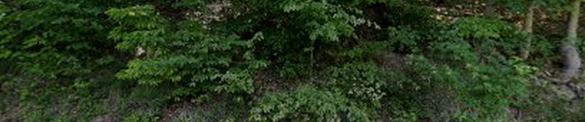 Green Mountain Hydroseeding