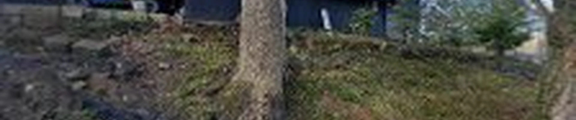 Landscaping By Hillcrest