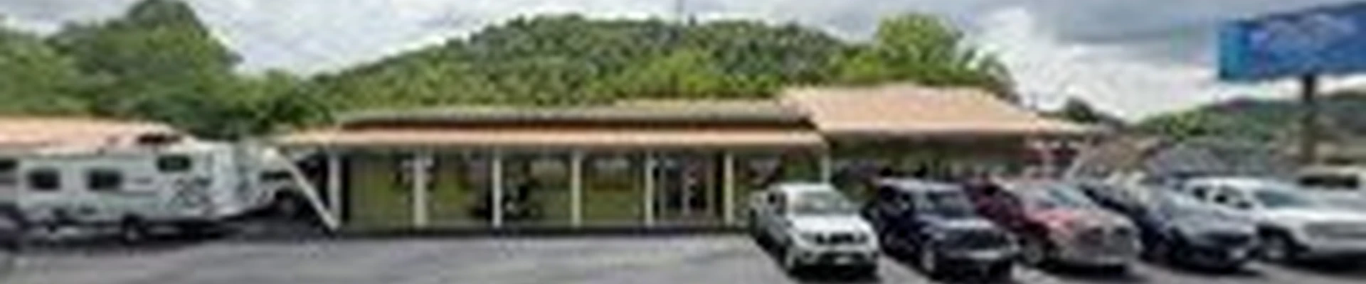 Pioneer landscaping and lawn service