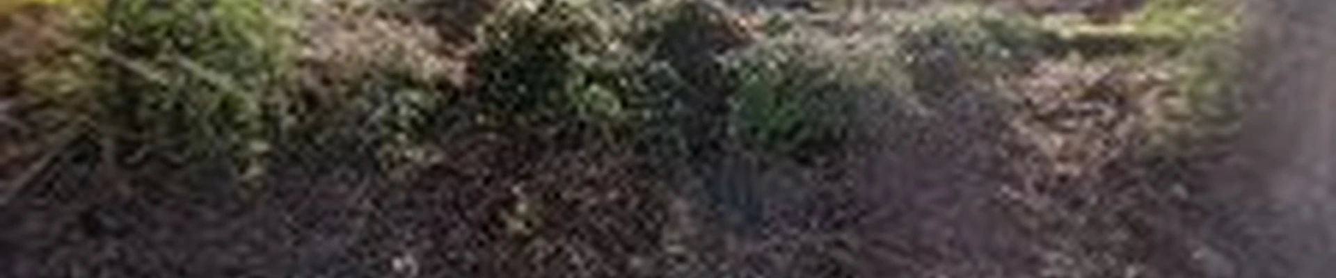 S & B Landscaping