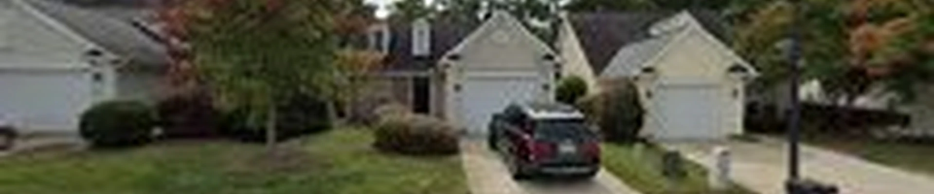 Trim Pro Tree & Landscaping