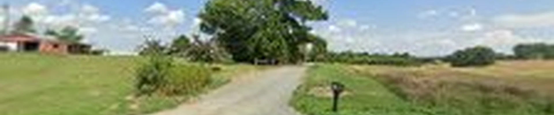 Emerald Green, Inc