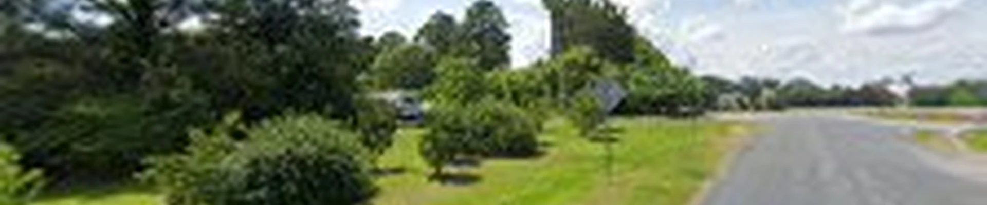 Santiago's Lawn Care & Tree Service