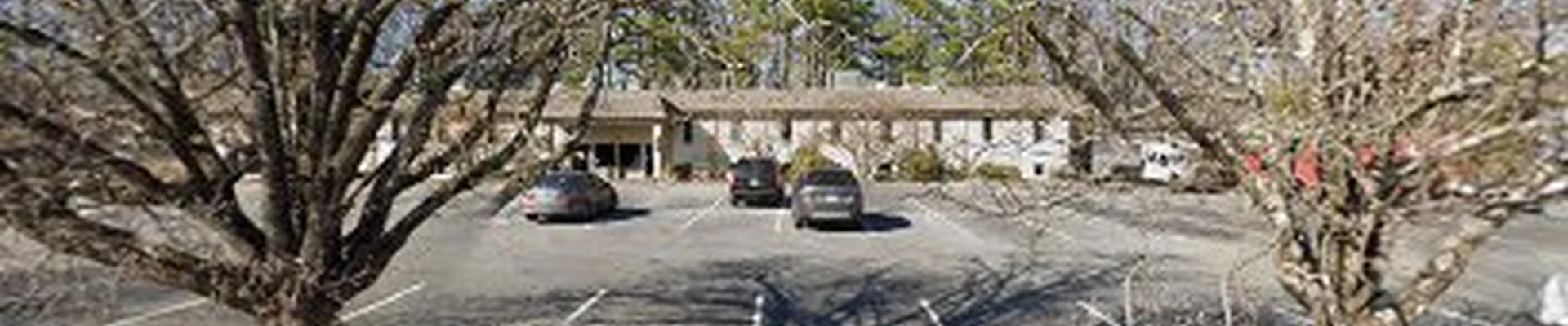 BUDGET LANDSCAPE LLC