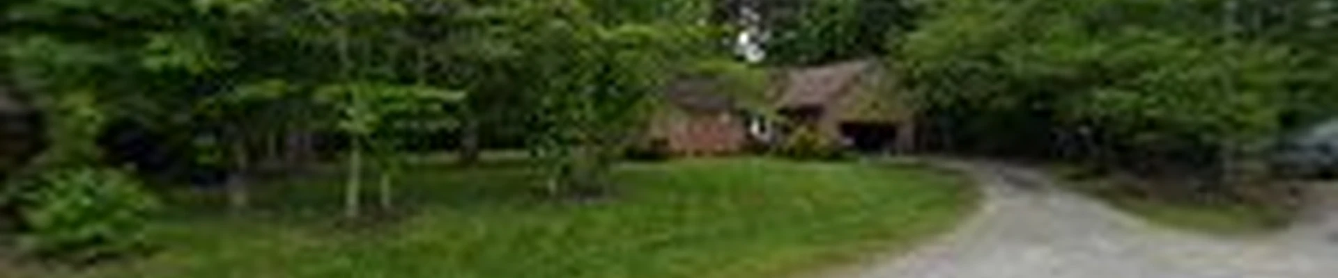 Black Dog Lawn Care & Landscapes