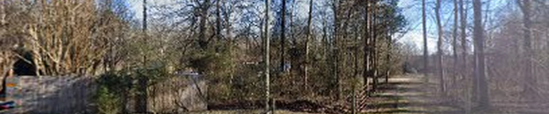 Whitesell Tree & Landscaping