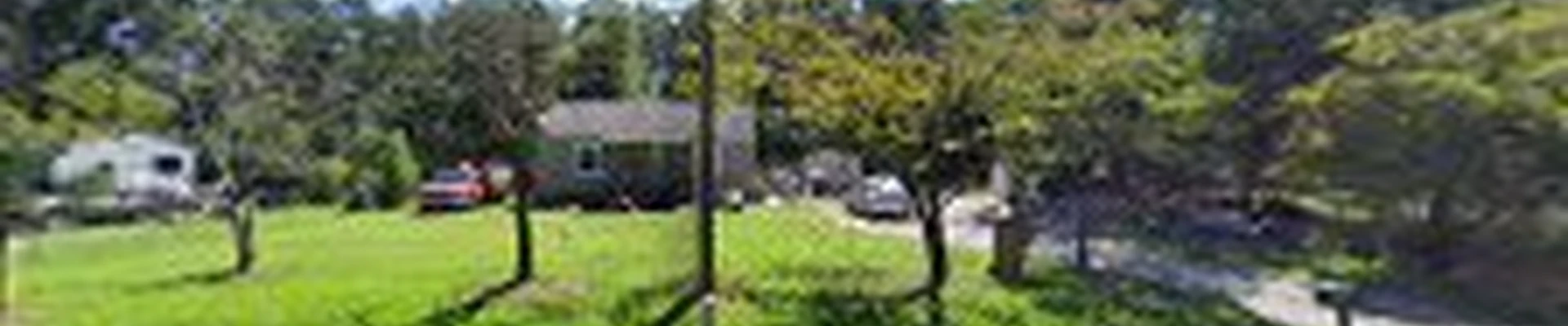 Wp landscaping services