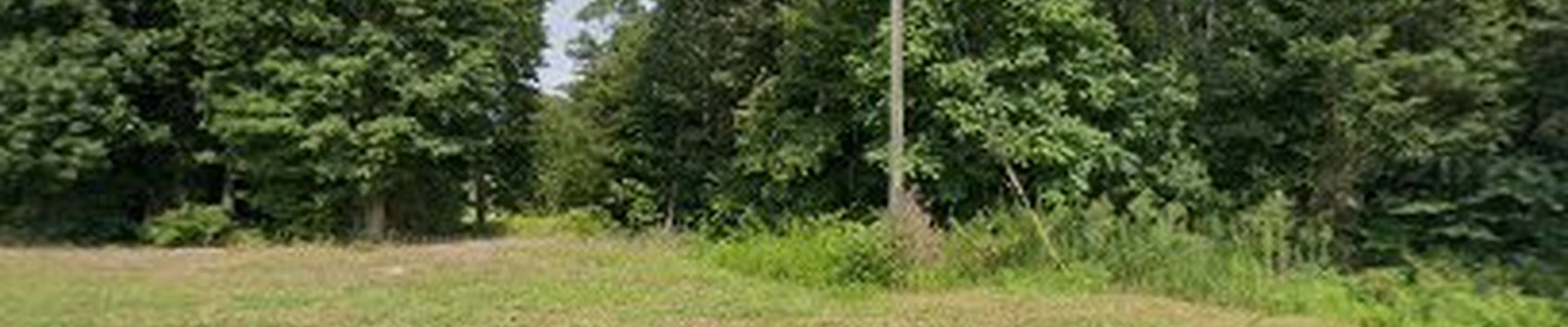 Stultz Landscape