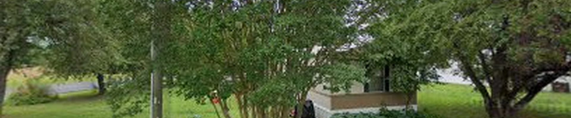 Ajnlk's Landscaping and Beyond