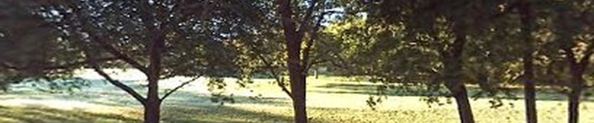 Fuller's Landscaping