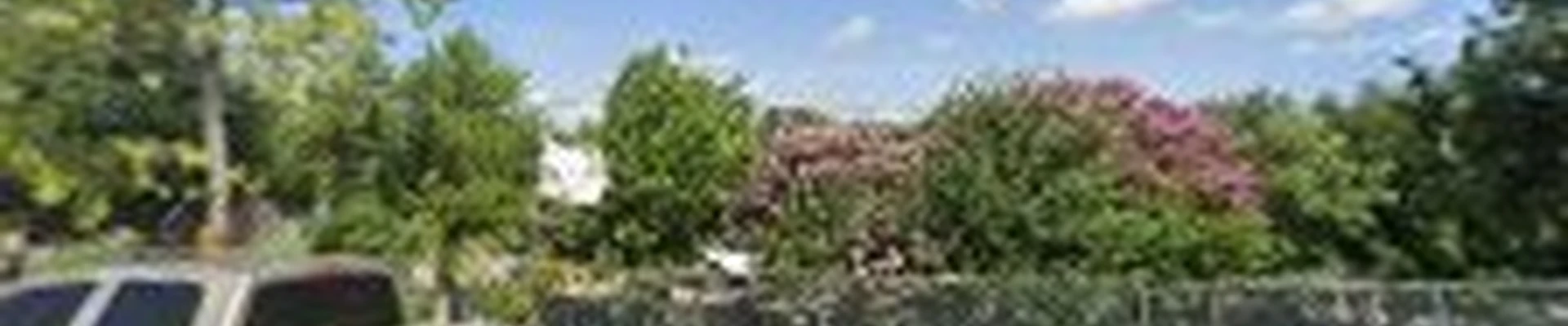 Frias Tree & Lawn Care Service LLC