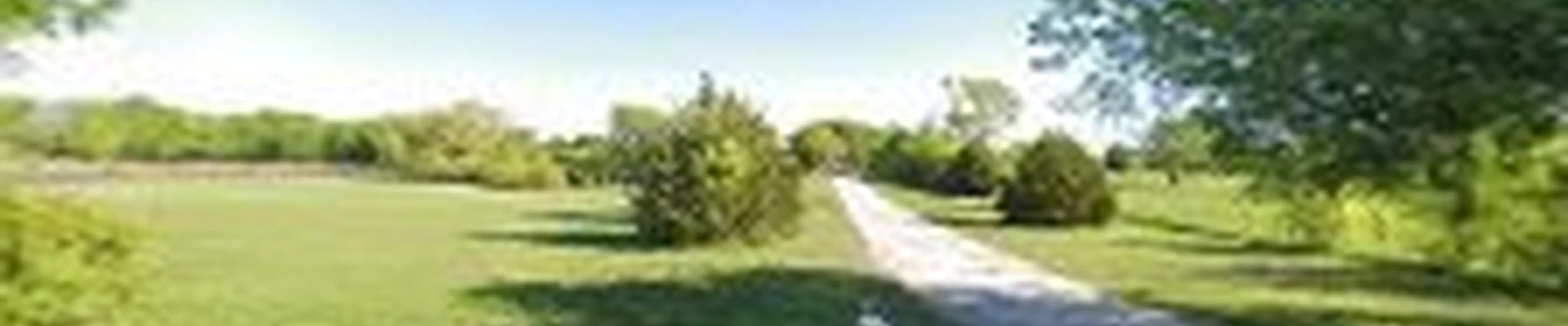 Pristine Landscaping & Lighting