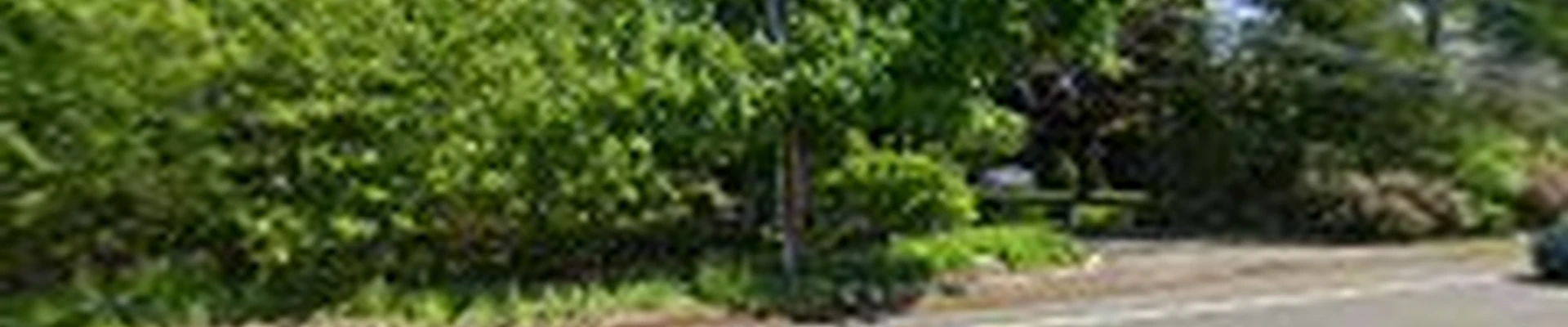 Experienced Landscape and Design