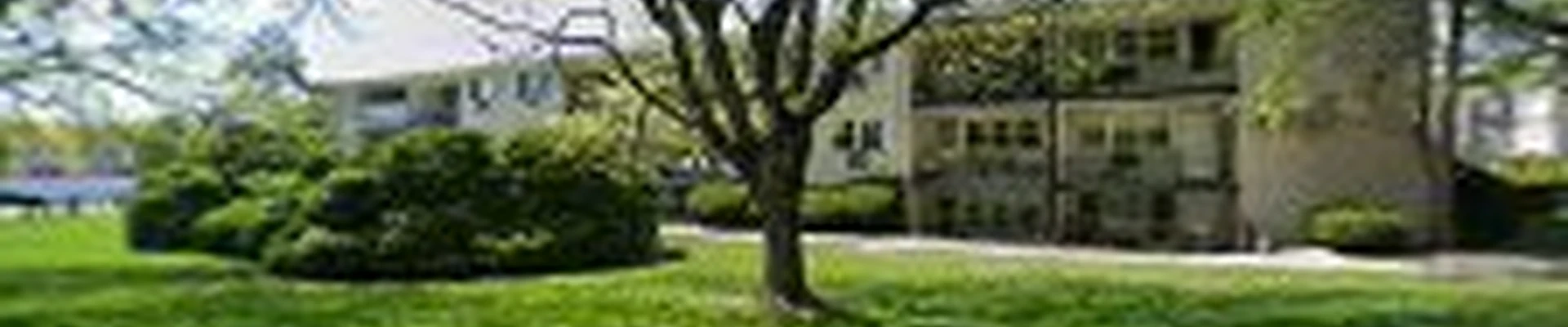 zamex landscaping