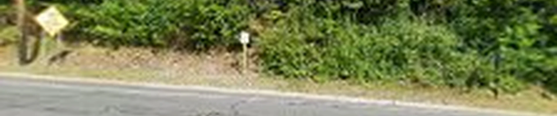 Mattia's Landscape, LLC