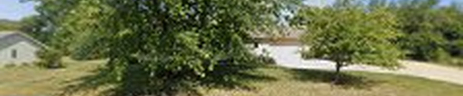 Bevalli Gardens LLC